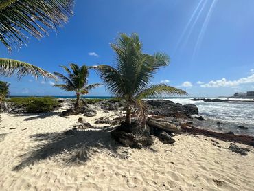 Isla Mujeres, Mexico - Lubot Definition