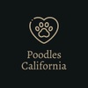 Poodles California