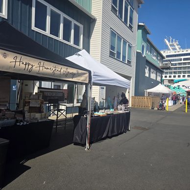 Outdoor market stalls set up along a waterfront with a cruise ship docked nearby.