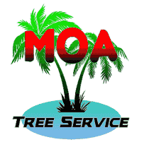 MOA TREE SERVICE INC