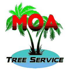 MOA TREE SERVICE INC