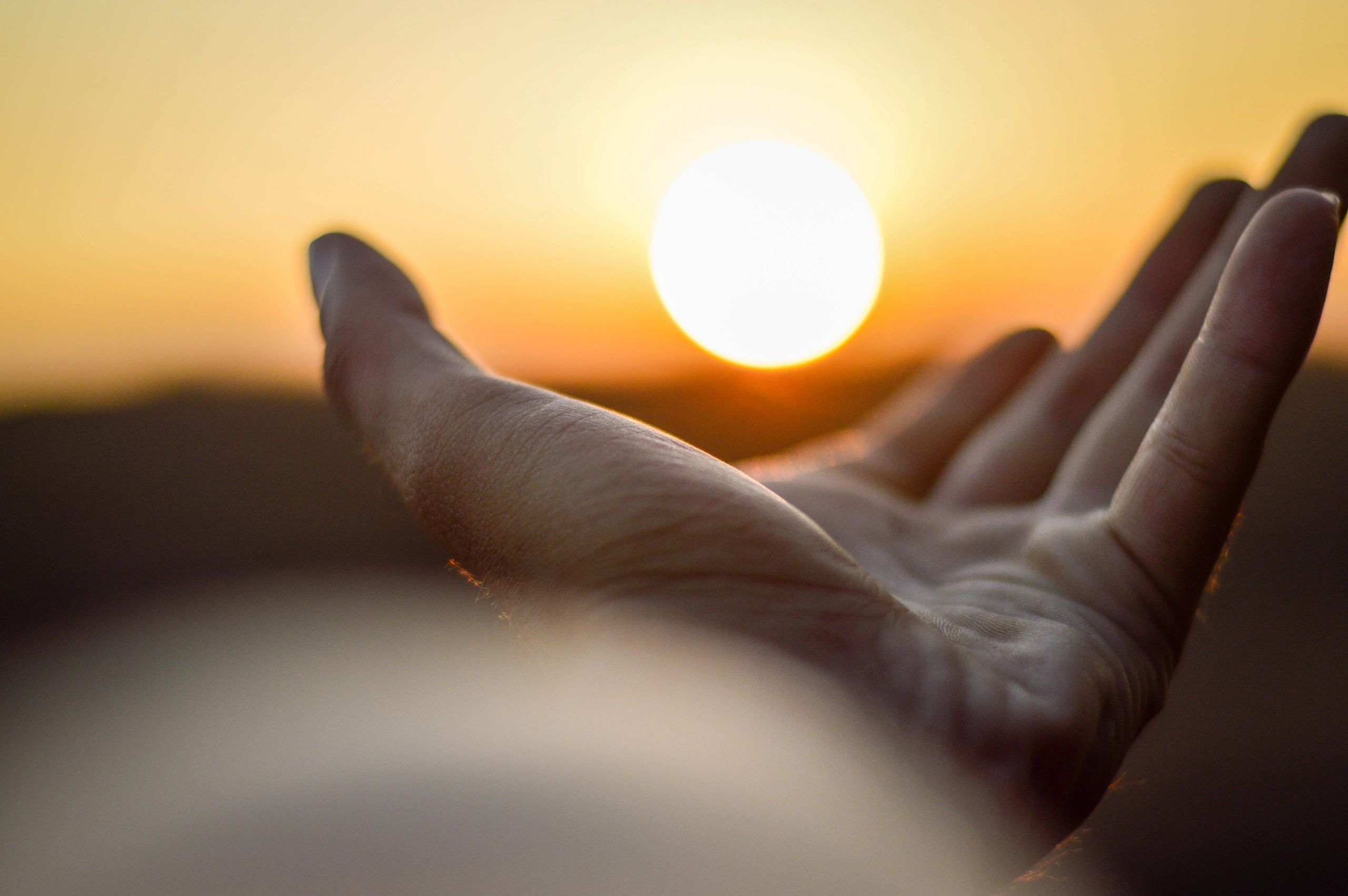 hand reaching out to the sun