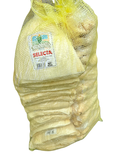 hoja para tamal selecta premium corn husks jumbo hojas de maiz hoja de tamal