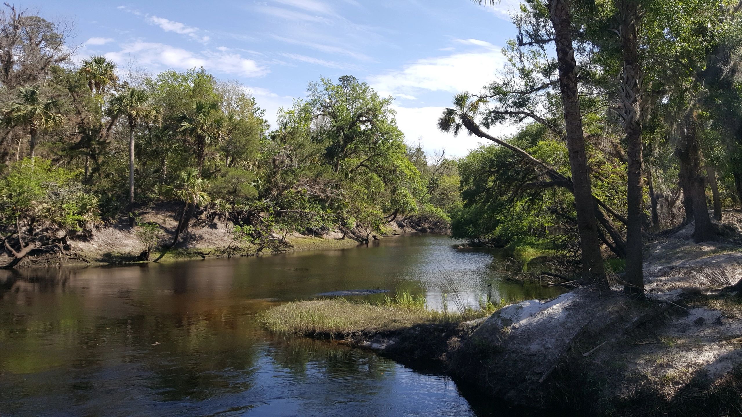 Jennifer b for Soil & Water Conservation Group 1