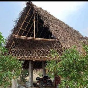 Traditional thatched house elevated on stilts surrounded by greenery.
