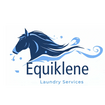 equiklene.com