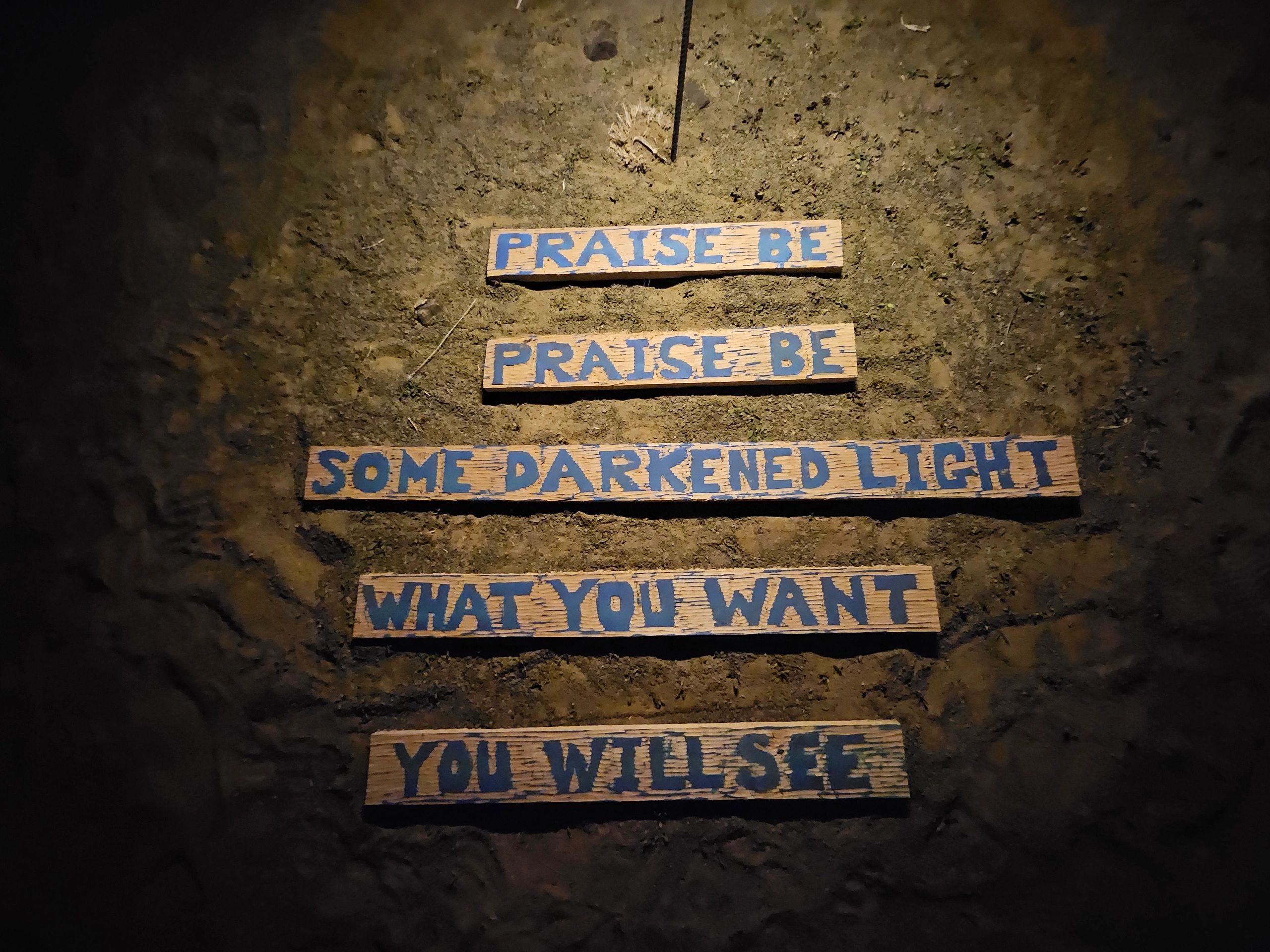 Wooden messages on soil with phrases about praise and light.