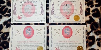 Silver Dragons Rank 1-4 Certificates
