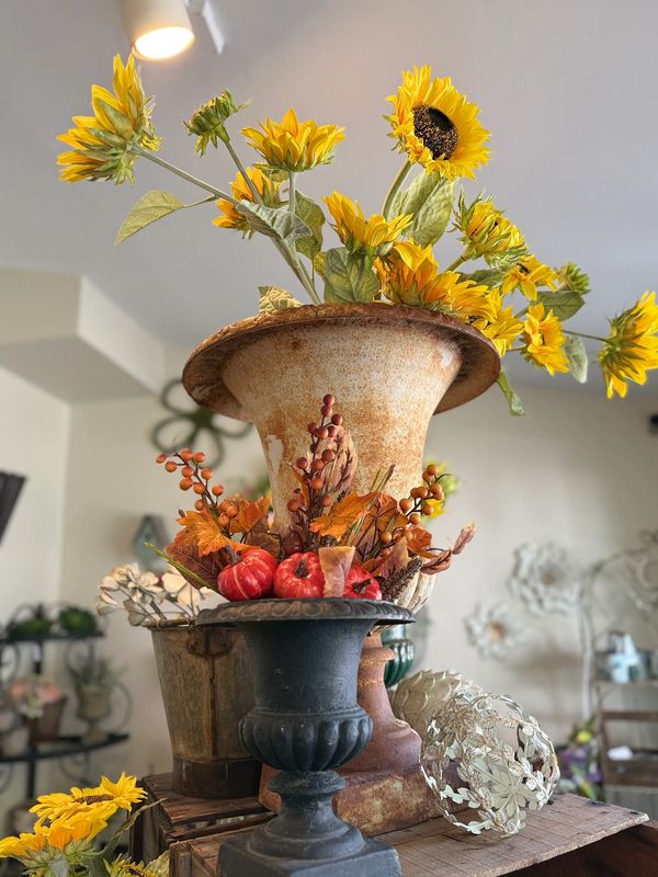 Step in to our shop for amazing Fall decor