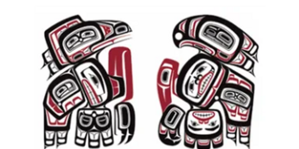 Tlingit and Haida Tribal Member Owned