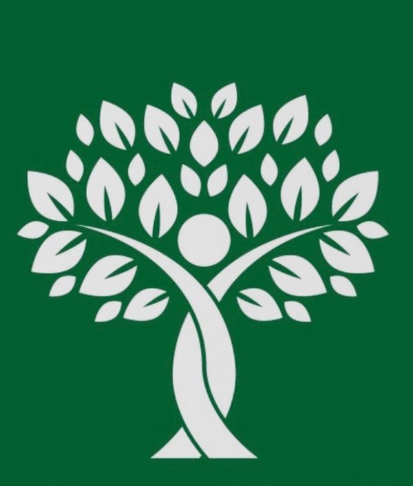 Wellsprings Home Health Care's Logo