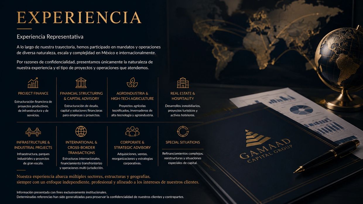 Captura de pantalla de experiencia representativa en diversos sectores financieros y proyectos.