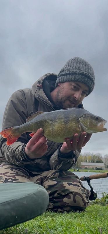 Perch fishing , Claydon Pike Fishery , fishing Gloucestershire , fishing Lechlade , big perch