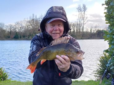 Perch , Claydon Park Fishery , fishing Gloucestershire , Trevor Gunning , fishing Lechlade