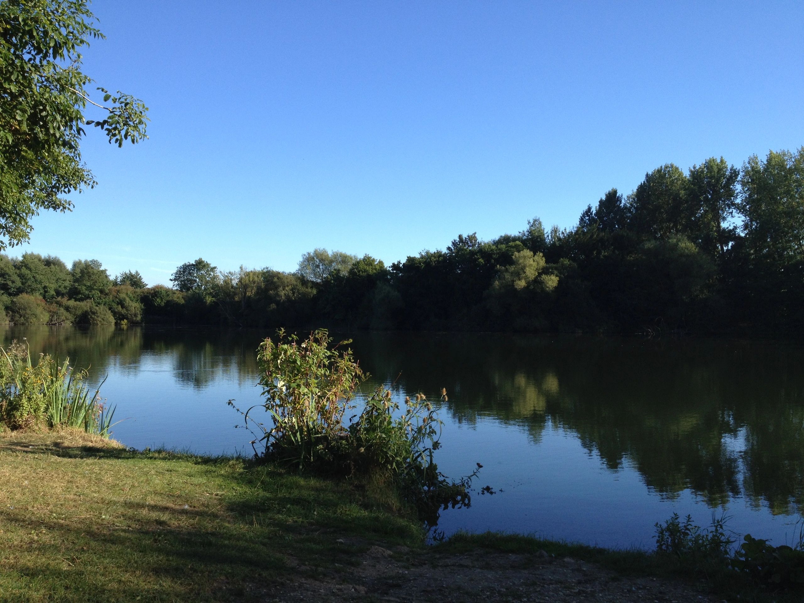 Claydon Park Fishery Fishing, Lechlade, Fishing, Carp