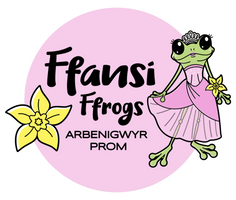 Ffansi Ffrogs
