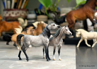 Detailed model horses displayed on a table.