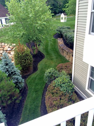 A neatly trimmed garden path with lush greenery and decorative stone wall.