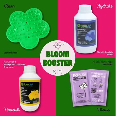 Stem Stripper, Floralife Quickdip, Floralife Liquid and Floralife Sachet Flowerfood Bloom Kit