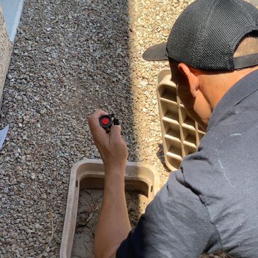 Pest control Inspection