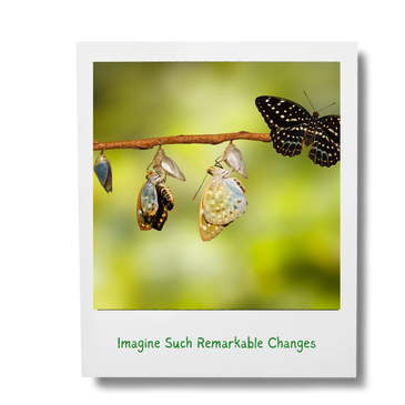 Butterfly symbolizing business evolution.