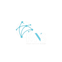 Mesh Network Systems