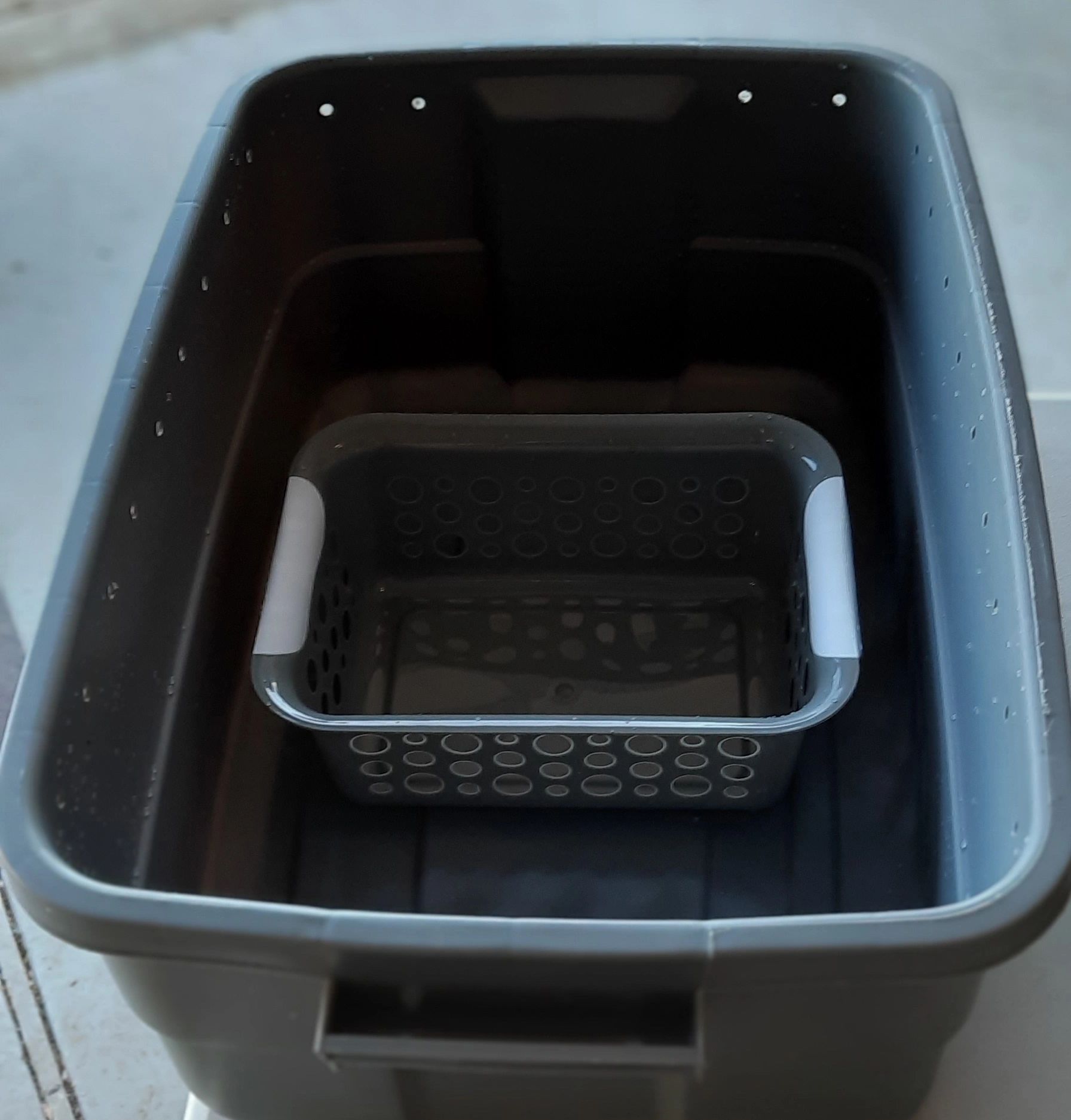 Compost Hamster Bedding in a Worm Bin Adding African Nightcrawlers