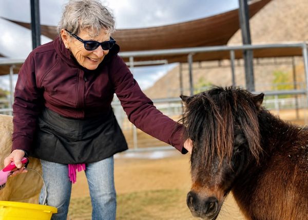 Elderly woman petting a small horse.
