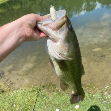 Person holding a large fish caught in freshwater.