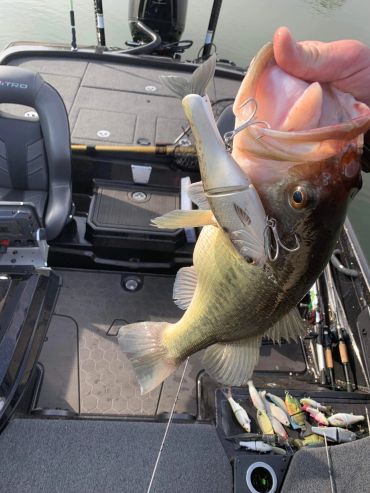 Person holding a largemouth bass caught with a fishing lure on a boat.