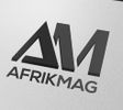 un article de afrikmag sur sheisthecode