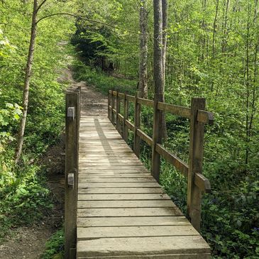 nature walk pathway