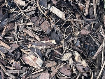 Bark Sample