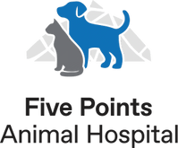Five Points Animal Hospital 
