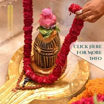 Kashi Viswanath Temple  Varanasi Temples  Kashi Viswanath Dharshan Ganga Snanam Ganga Aarti  tour Pa