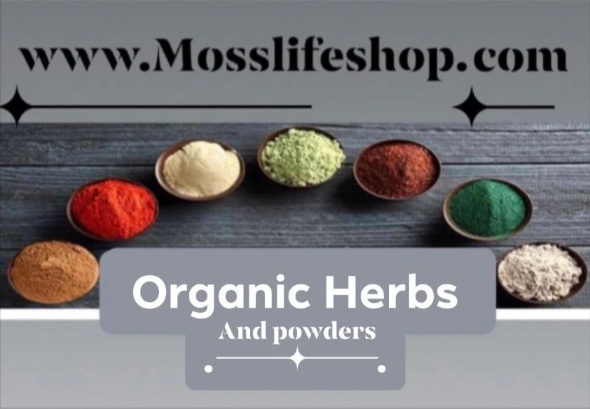 Variety of organic herbal supplements and sea moss in small bowls set around a table 