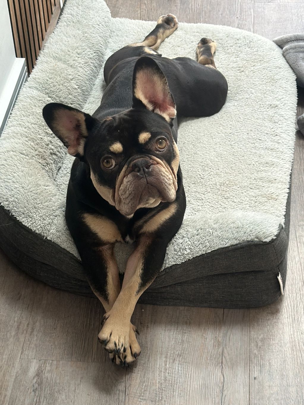 Reggie