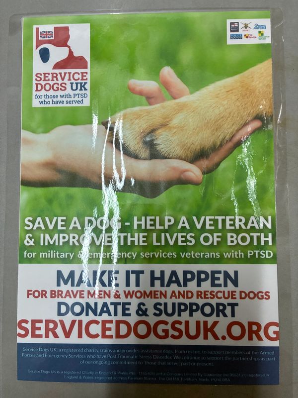 A service dog paw and human hand touching, promoting support for veterans with PTSD.