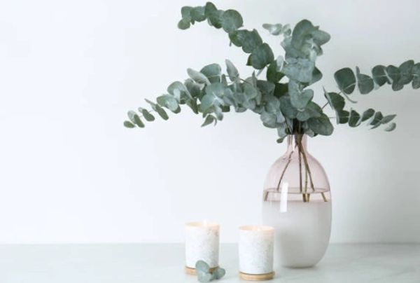 Eucalyptus branches in vase with two candles.