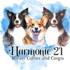 Harmonie 21 Farms