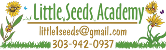 Little Seeds Academy Website