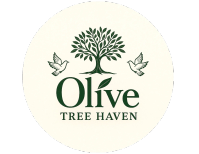 Olive Tree Haven