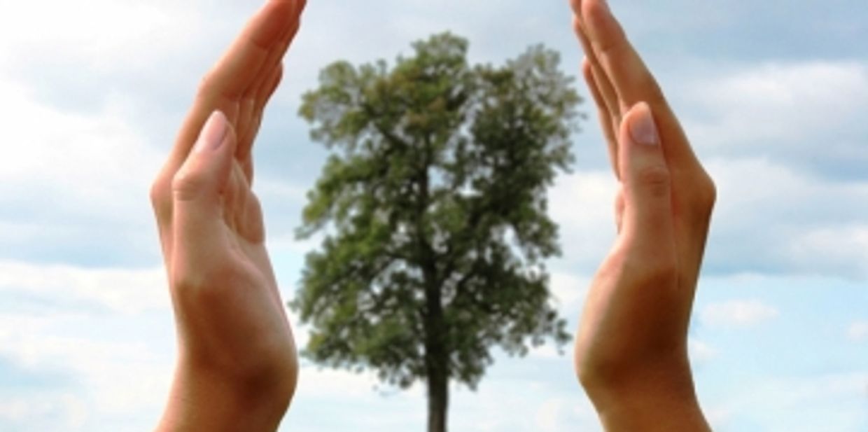 Hands around a tree. 