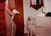 image664