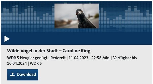 Neugier genügt im WDR5