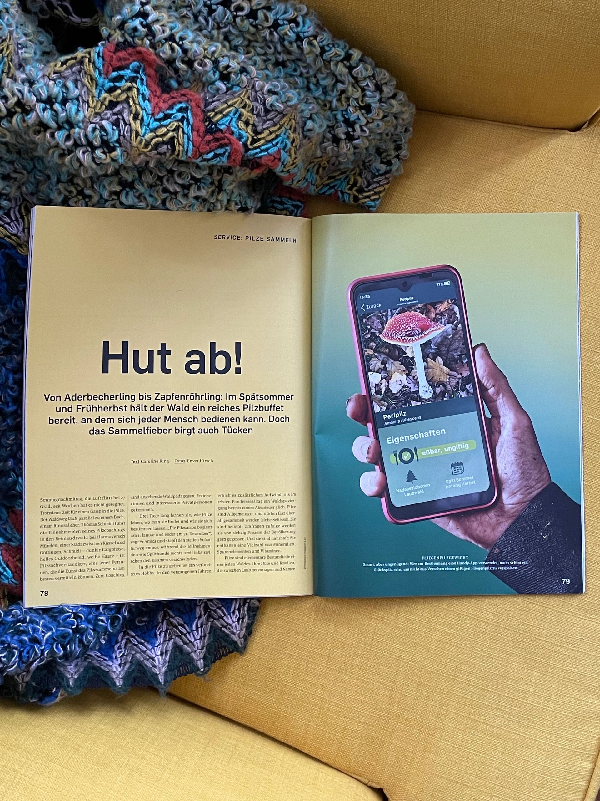 Pilze sammeln im Sommer?