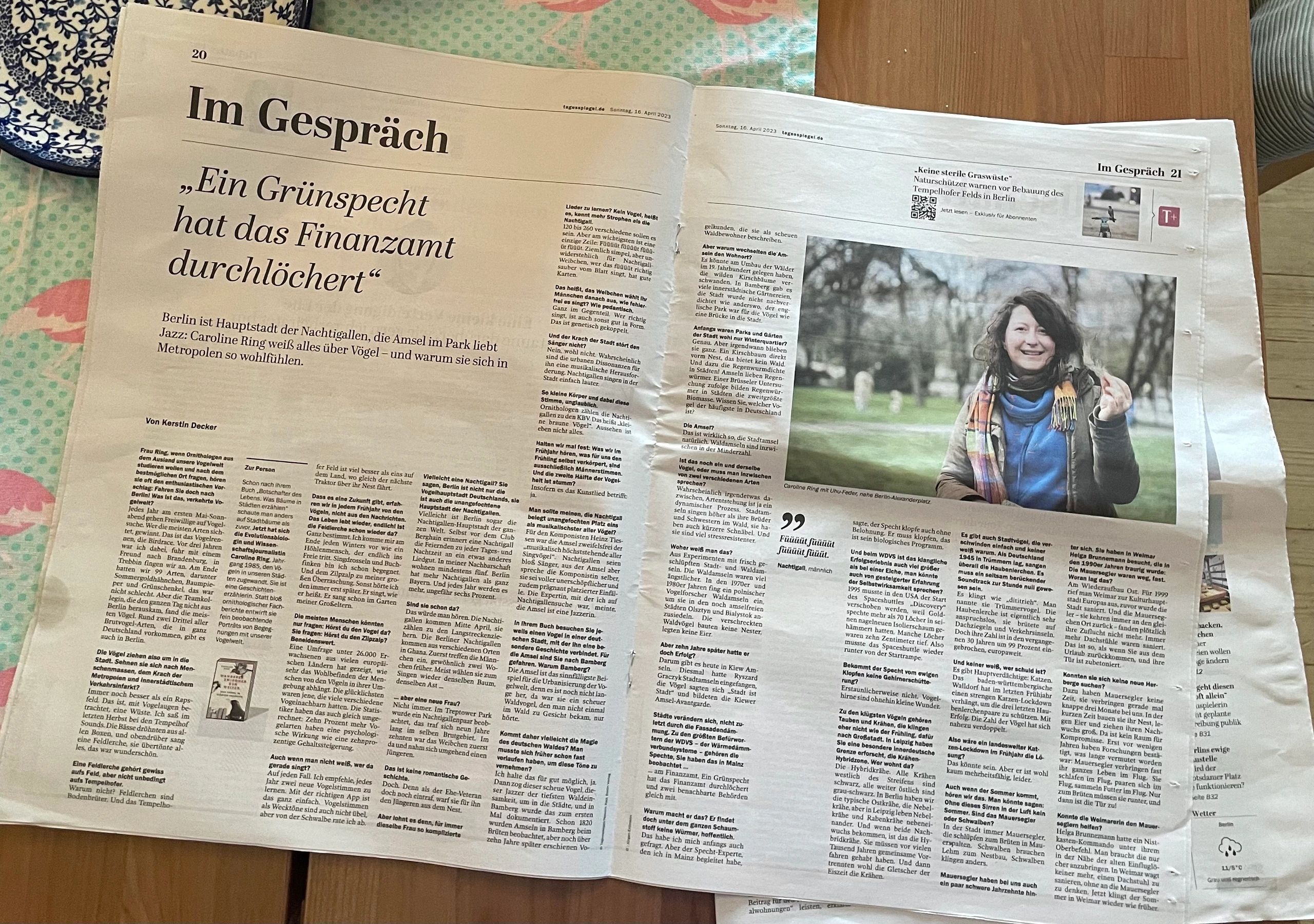 Im Gespräch im Tagesspiegel