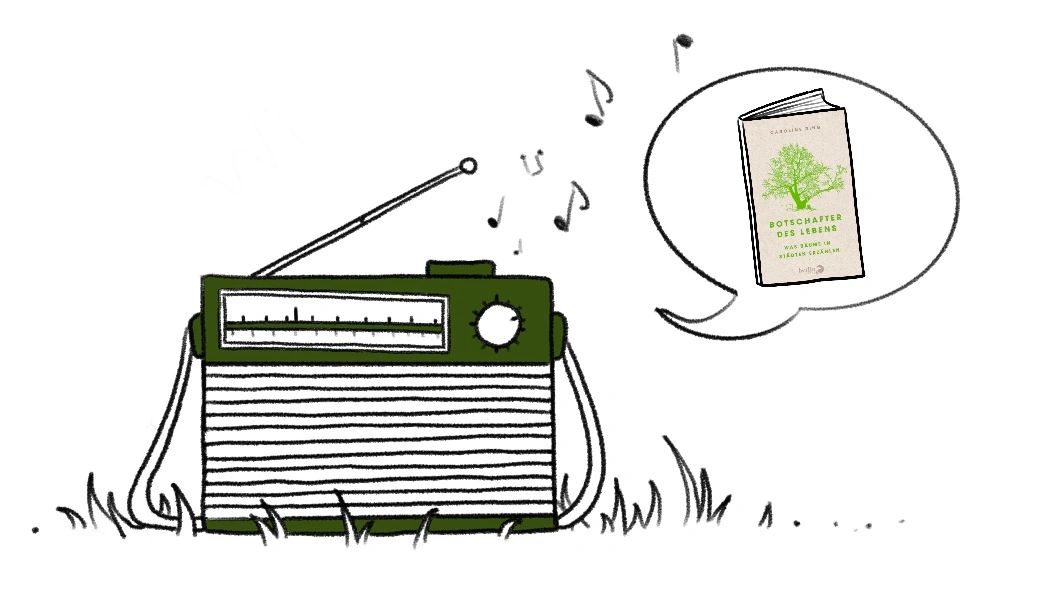 Stunde der Gartenvögel im DLF Kultur