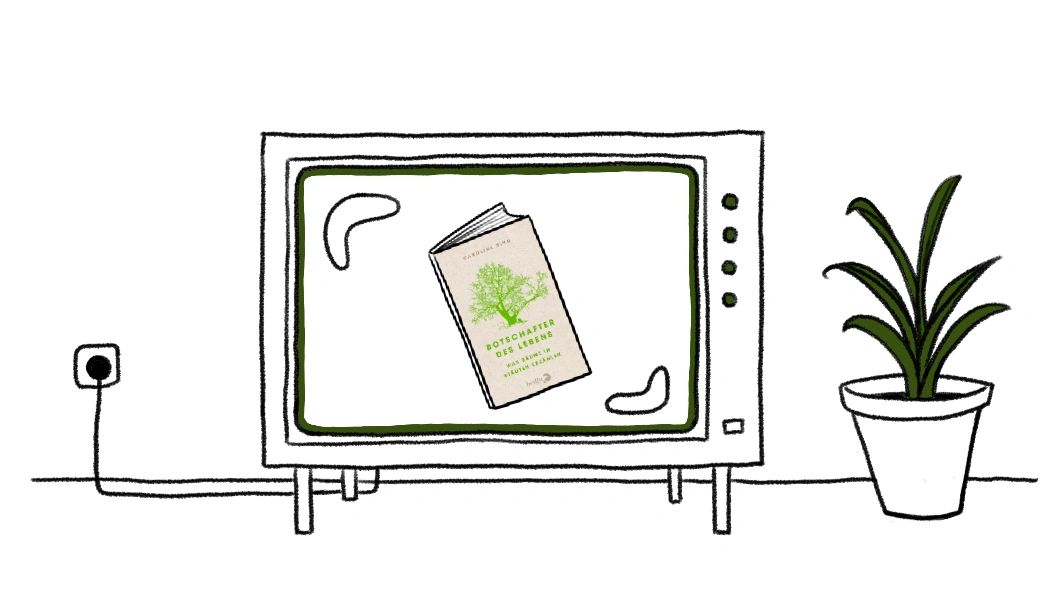 Sehbar: Beitrag bei zibb/RBB