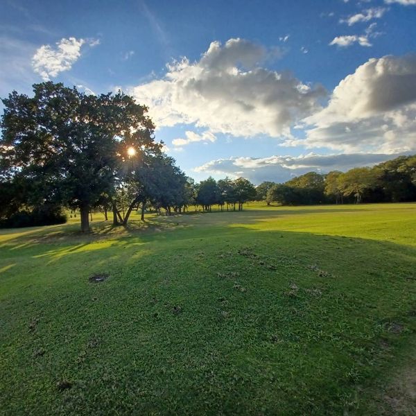 Land could be used for a Park Golf course